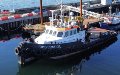 DMS Condor
